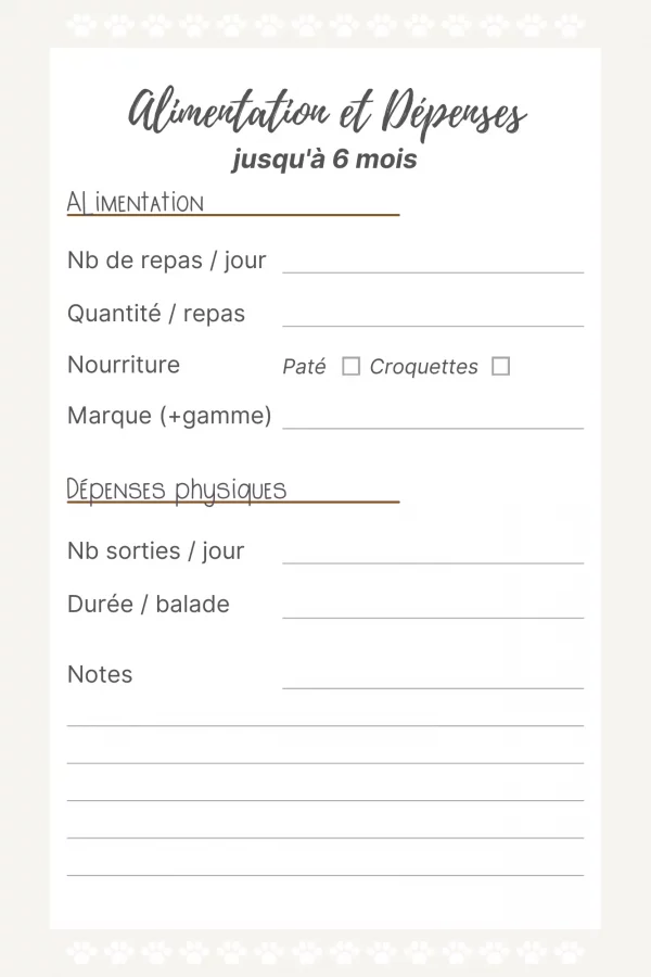 Carnet de santé chat – Image 4