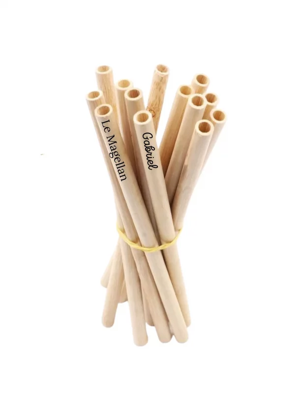 Paille en bambou