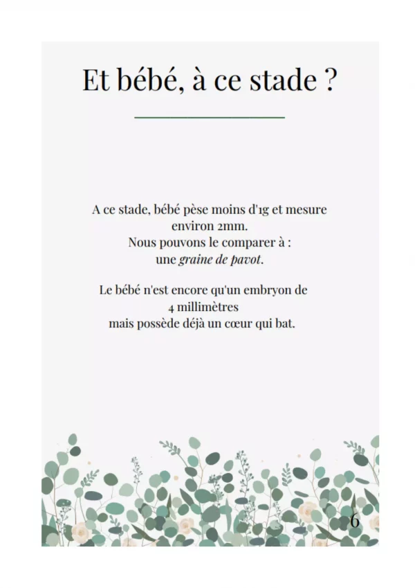 Journal de grossesse coton – Image 5