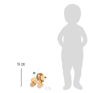 Lion à tirer